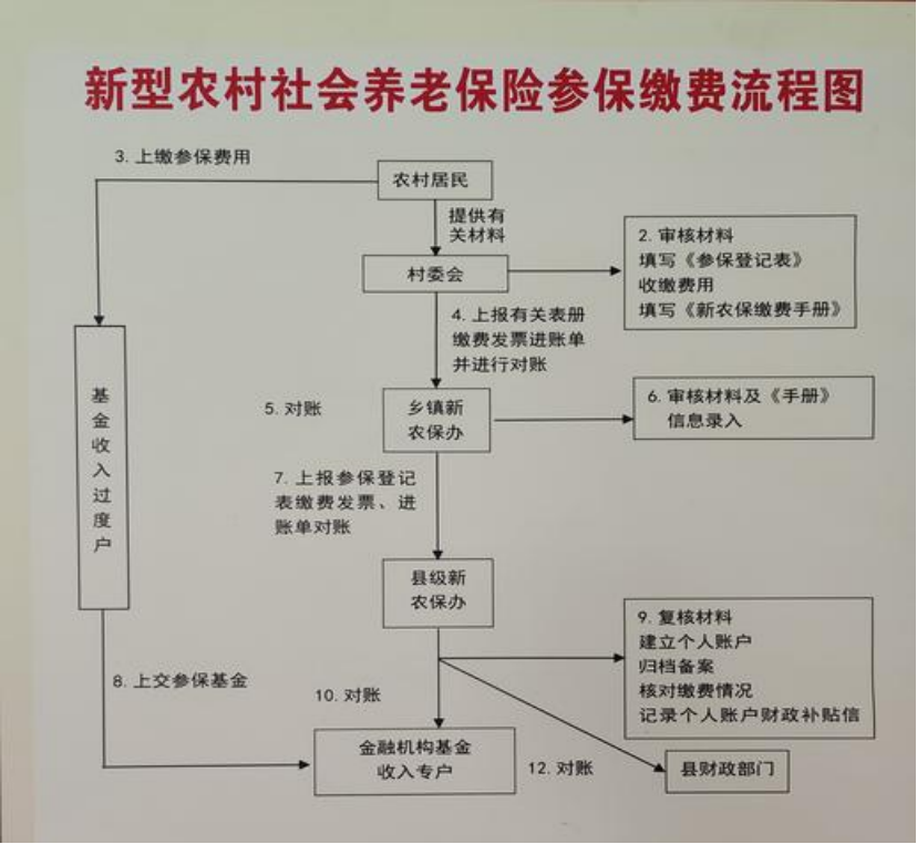 上海农村医保和社保有什么区别(农村医保跟社保的区别)